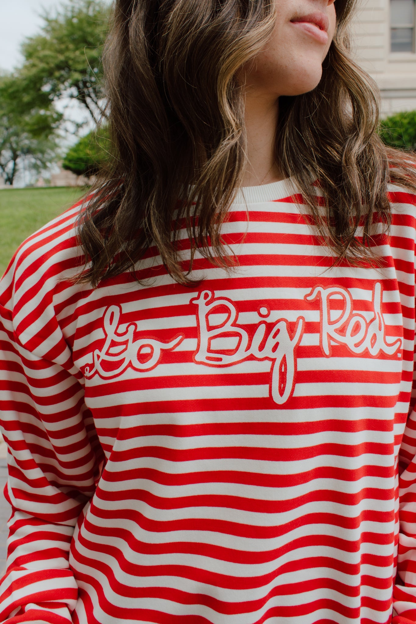 Go Big Red Striped Crewneck